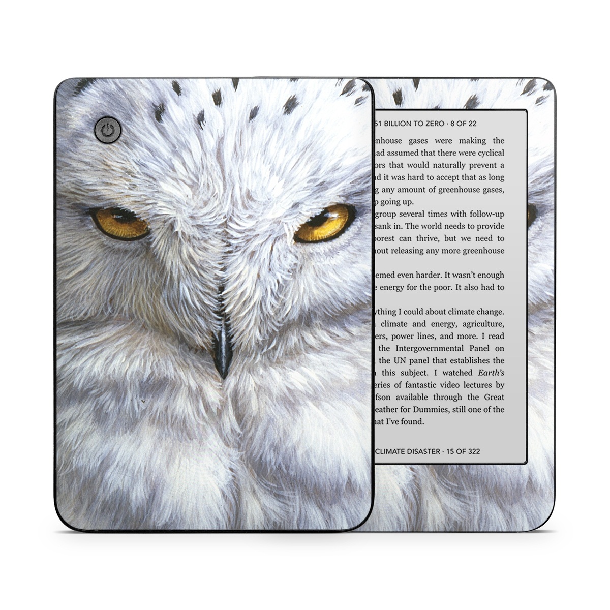 Kobo Clara 2E Skin design of Owl, Bird, Bird of prey, Snowy owl, great grey owl, Close-up, Eye, Snout, Wildlife, Eastern Screech owl, with gray, white, black, blue, purple colors