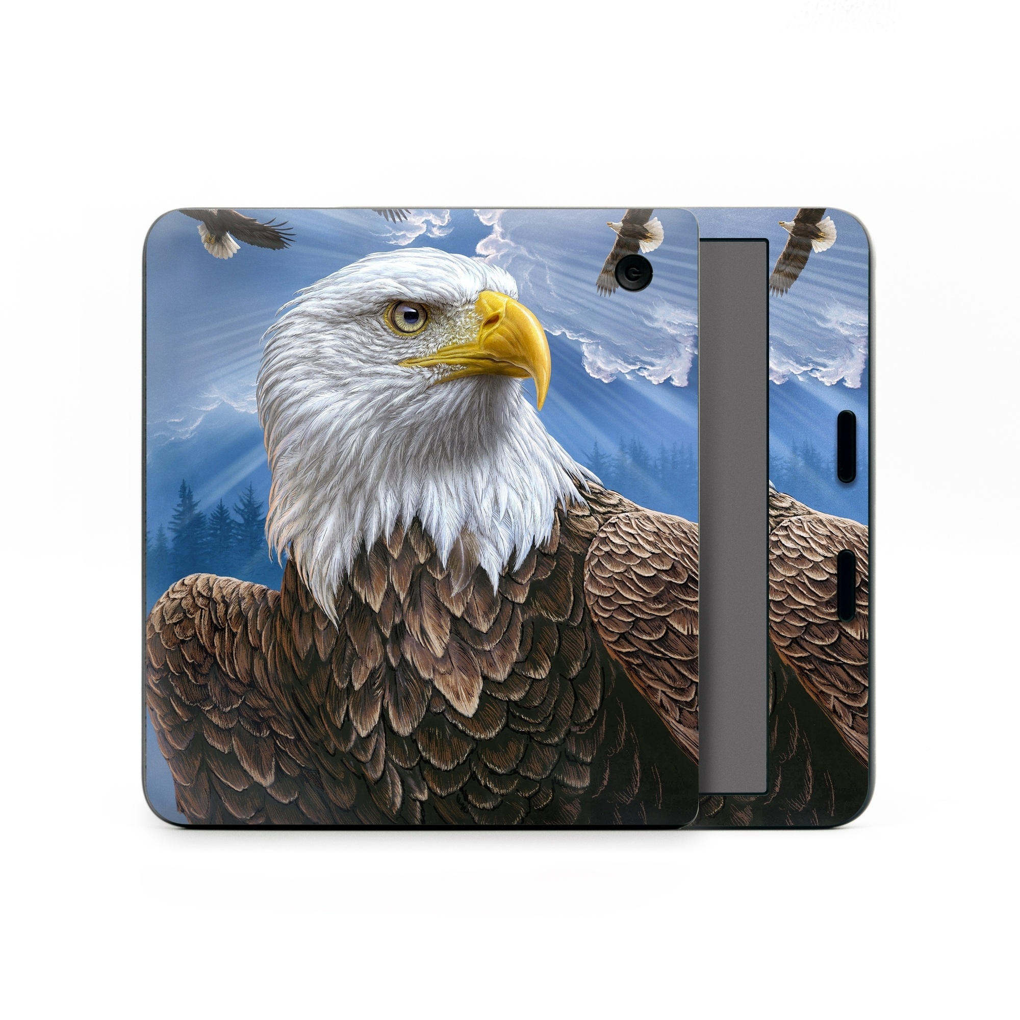 Kobo Libra Colour Skin design of Bird, Bald eagle, Bird of prey, Vertebrate, Accipitriformes, Accipitridae, Eagle, Nature, Beak, Kite, with blue, brown, white, yellow colors