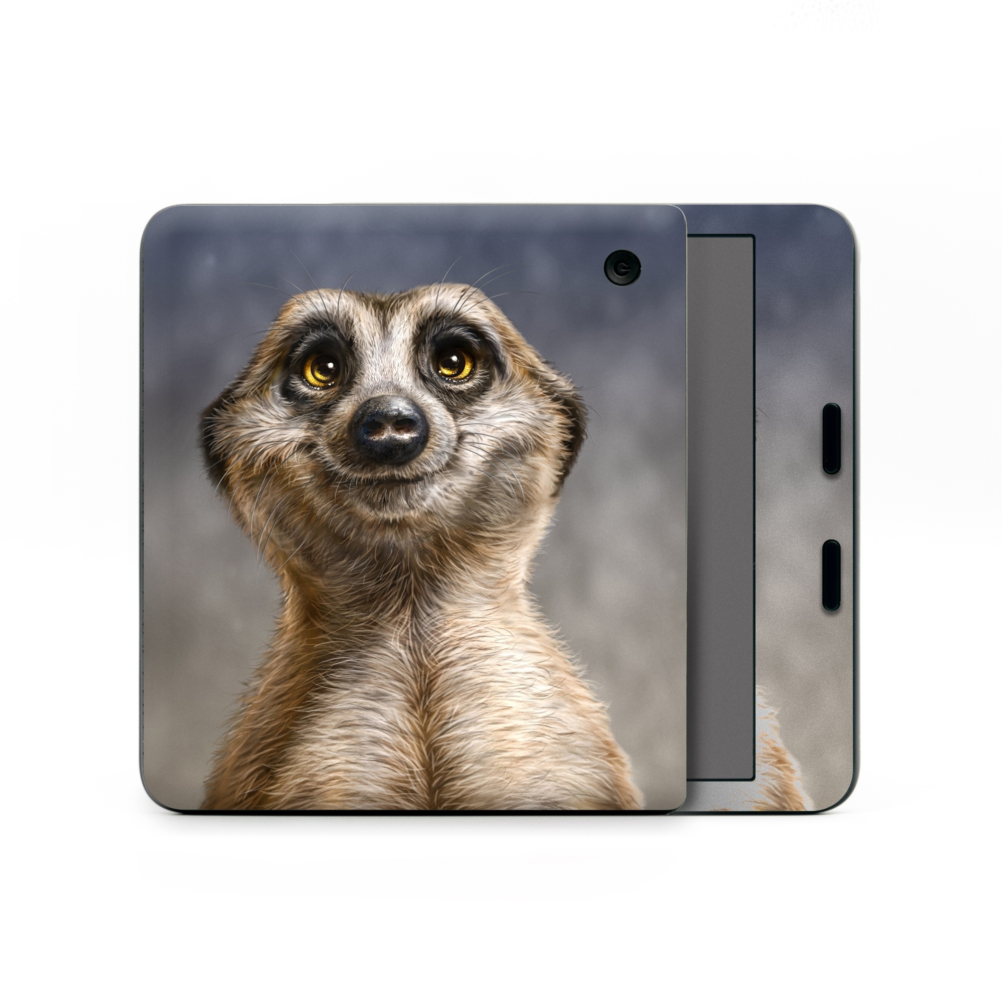 Kobo Libra Colour Skin design of Face, Head, Eye, Eyelash, Human body, Carnivore, Iris, Terrestrial animal, Whiskers, Snout, with white, gray, brown, yellow, black, blue colors