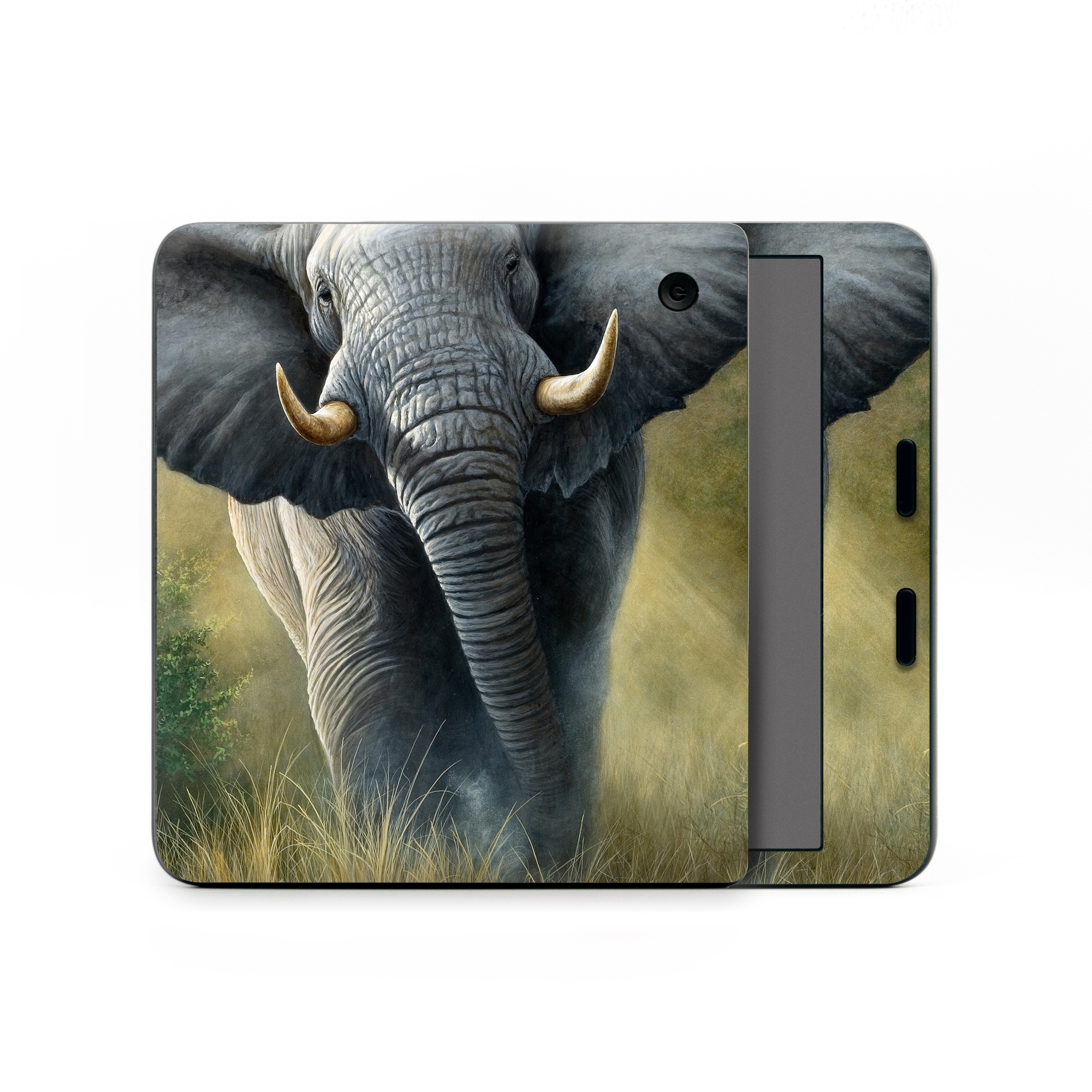 Kobo Libra Colour Skin design of Terrestrial animal, Elephants and Mammoths, Vertebrate, Wildlife, Mammal, African elephant, Indian elephant, Grassland, Working animal, Tusk, with gray, white, green, brown, yellow, orange colors