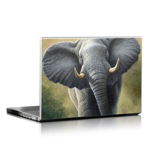 Right of Way Laptop Skin