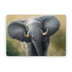 Right of Way Apple MacBook Skin