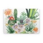 Sonoran Desert Apple MacBook Skin