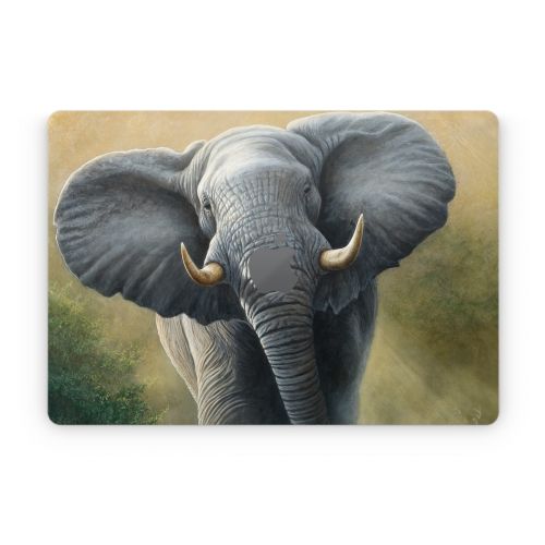 Right of Way Apple MacBook Skin