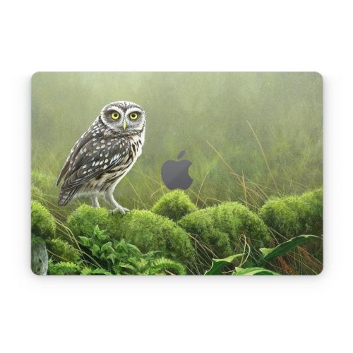Tumbledown Apple MacBook Skin