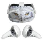 Snowy Owl Meta Quest 2 Skin