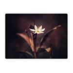 Delicate Bloom Microsoft Surface Laptop Series Skin