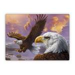 Eagle Microsoft Surface Laptop Series Skin
