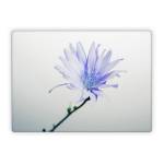 Floral Microsoft Surface Laptop Series Skin