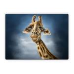 Giraffe Totem Microsoft Surface Laptop Series Skin