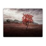 Lofoten Tree Microsoft Surface Laptop Series Skin