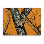 Blaze Microsoft Surface Laptop Series Skin