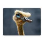 Ostrich Totem Microsoft Surface Laptop Series Skin