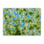 Overlander Microsoft Surface Laptop Series Skin