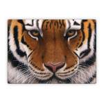 Siberian Tiger Microsoft Surface Laptop Series Skin
