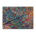 Stained Aspen Microsoft Surface Laptop Series Skin