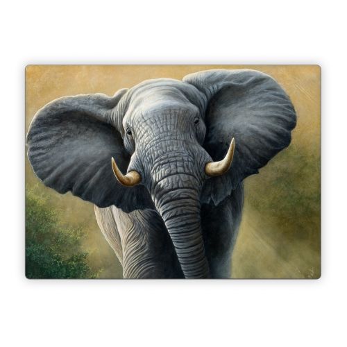 Right of Way Microsoft Surface Laptop Series Skin