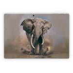 African Elephant Microsoft Surface Pro Series Skin