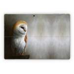Barn Owl Microsoft Surface Pro Series Skin