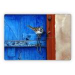 Blue Door Microsoft Surface Pro Series Skin