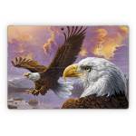 Eagle Microsoft Surface Pro Series Skin