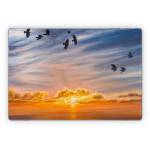 Equinox Microsoft Surface Pro Series Skin