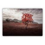 Lofoten Tree Microsoft Surface Pro Series Skin