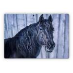 Midnight Blue Microsoft Surface Pro Series Skin