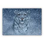 Snow Queen Microsoft Surface Pro Series Skin