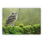 Tumbledown Microsoft Surface Pro Series Skin