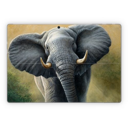 Right of Way Microsoft Surface Pro Series Skin