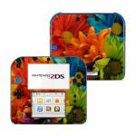 Colours Nintendo 2DS Skin