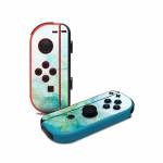Winter Marble Nintendo Switch Joy-Con Controller Skin