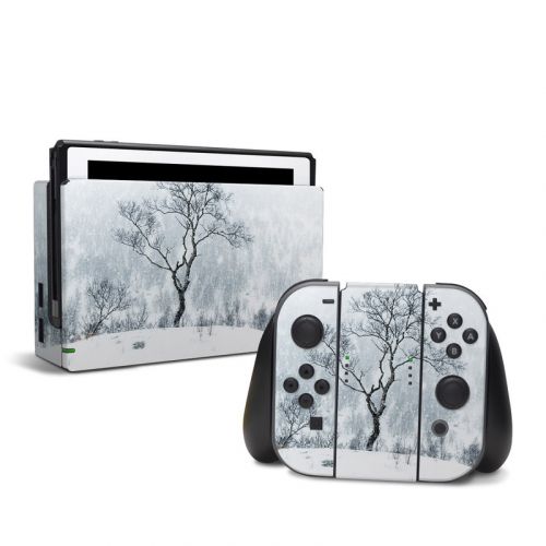 Winter Is Coming Nintendo Switch Skin