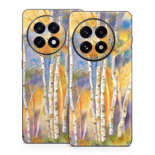 Aspens OnePlus 13 Series Skin