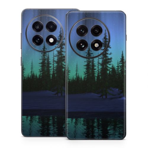 Aurora OnePlus 13 Series Skin