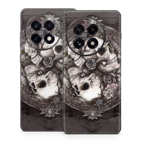 Dioscuri OnePlus 13 Series Skin