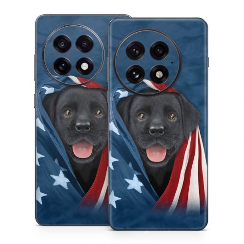 Patriotic Lab OnePlus 13 Series Skin