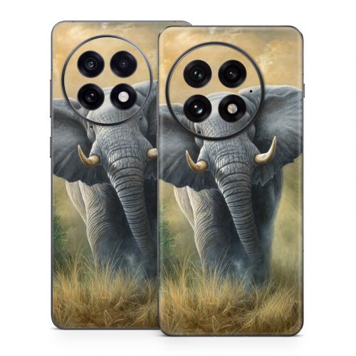 Right of Way OnePlus 13 Series Skin