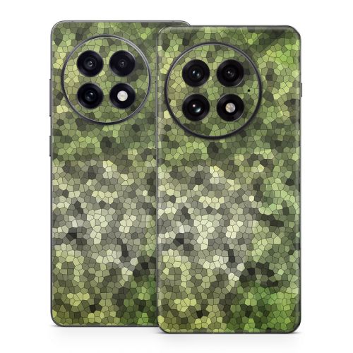Seeking OnePlus 13 Series Skin