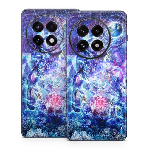 Transcension OnePlus 13 Series Skin