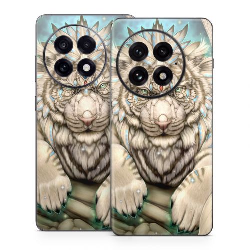 What Do You Seek OnePlus 13 Series Skin