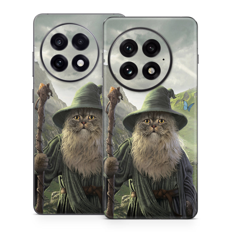 OnePlus 13 Series Skin design of Beard, Facial hair, Illustration, Mythology, Magician, Fictional character, Cg artwork, Games, Art, with green, gray, brown, blue, green, white, yellow, black colors