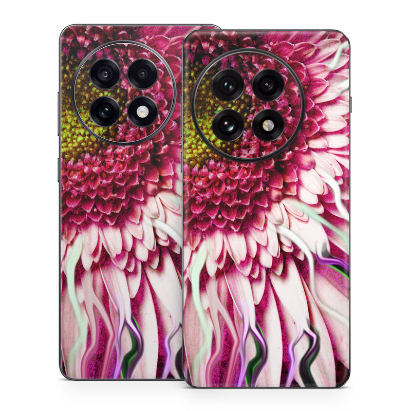 OnePlus 13 Series Skin design of Flowering plant, Flower, Petal, Plant, Purple, Pink, Gazania, Violet, Gerbera, Chrysanths, with black, gray, red, purple, pink, white colors