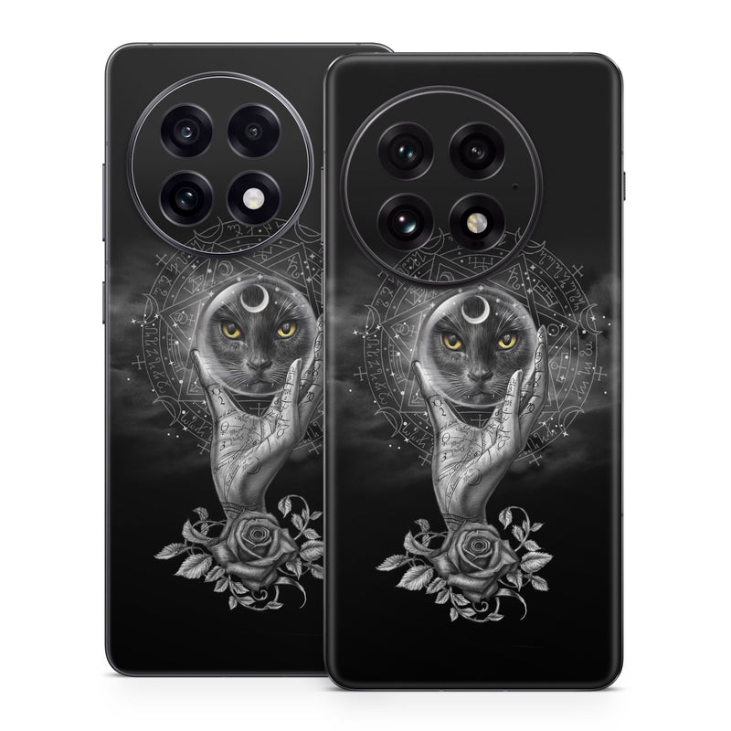 OnePlus 13 Series Skin design of Head, Eye, Flash photography, Painting, Headgear, Art, Font, Snout, Darkness, Owl, with black, white, gray colors