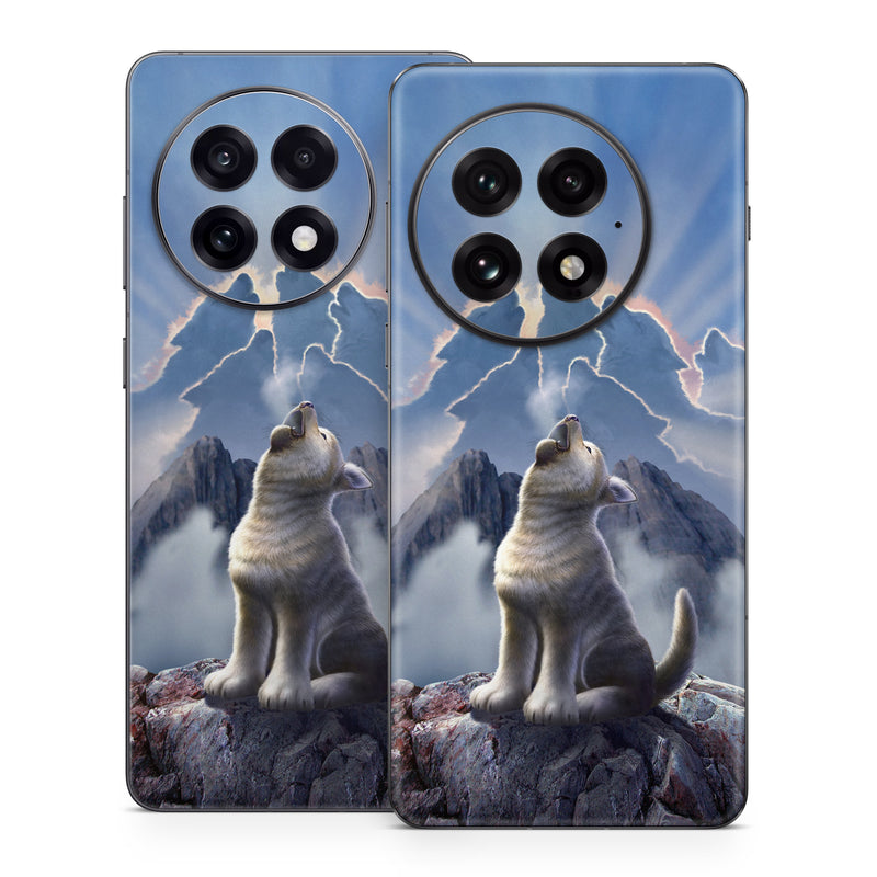 OnePlus 13 Series Skin design of Sky, Cloud, Atmosphere, Rock, Wolf, Photography, Cg artwork, Illustration, Mountain, Mythology, with white, blue, gray, brown colors