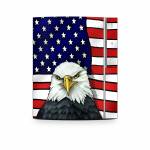 American Eagle PS3 Skin