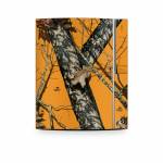 Blaze PS3 Skin