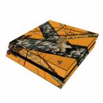 Blaze PlayStation 4 Skin