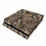 Break-Up Country PlayStation 4 Skin
